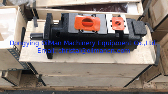 OilMan Hydraulic Submersible Water Pump , CBGJ Gear Oil Pumps